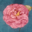 Tom Clower